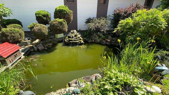 346155869_763268825437689_8997817361258090958_n.jp