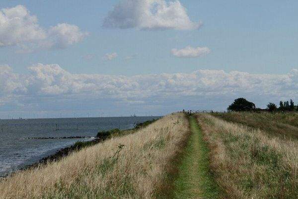 Ferienhaus Andijk kaufen015