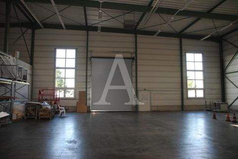 Leverkusen Halle, Leverkusen Hallenfläche