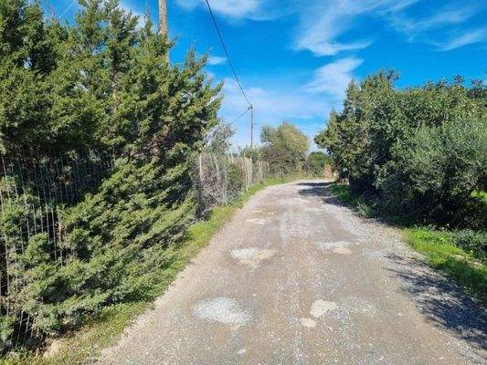 Kreta, Ammoudara bei Agios Nikolaos : Baugrund mit Meerblick in Stadt- und Strandnähe zu verkaufen