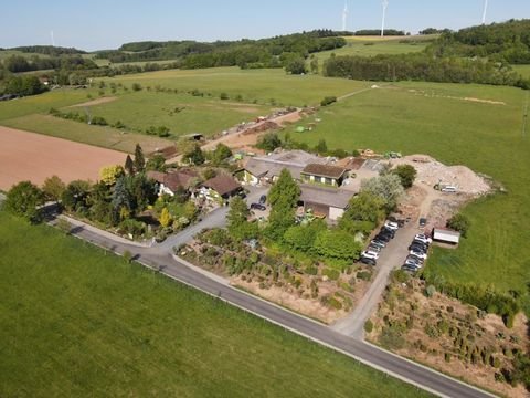 Schlüchtern Bauernhöfe, Landwirtschaft, Schlüchtern Forstwirtschaft