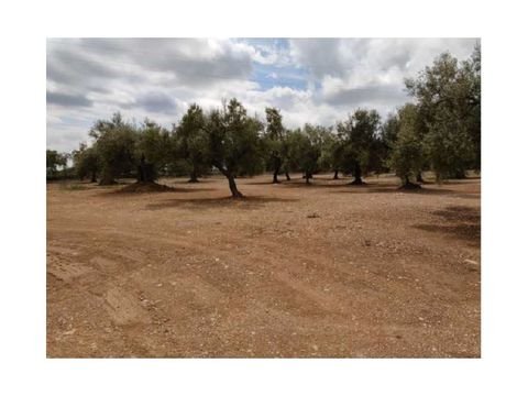 San Rafael del Río Grundstücke, San Rafael del Río Grundstück kaufen