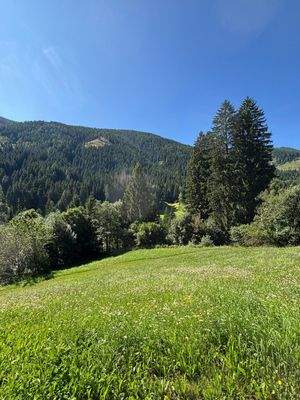 Ulten – Tourismus, Bauen und Gastronomie vereinen sich hier mit einzigartigen Chancen für neue Ideen und ein attraktives Baugrundstück – Ultimo, turismo, costruzioni e gastronomia si incontrano qui con opportunità uniche per nuove idee e un terreno edific