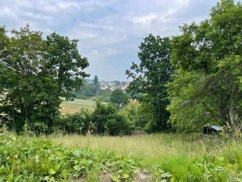 Zwickau Grundstücke, Zwickau Grundstück kaufen