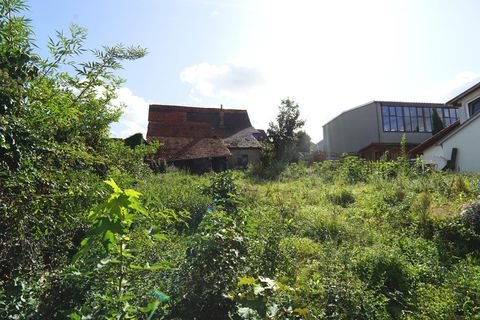 Neidenstein Grundstücke, Neidenstein Grundstück kaufen