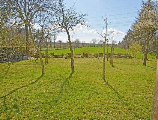 Obstagarten mit Weitblick