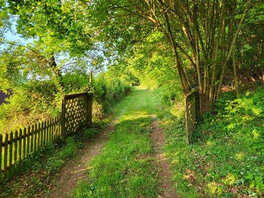 Zufahrt zum Gebäude und Wald