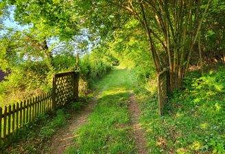 Zufahrt zum Gebäude und Wald