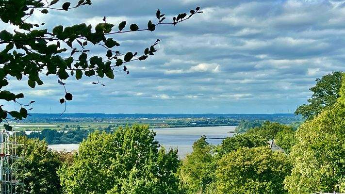 Weitblick über die Elbe und das Alte Land
