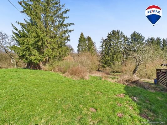 Remax Immobilien DeLux Wadern / Bardenbach Garten