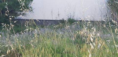 San Lorenzo Häuser, San Lorenzo Haus kaufen