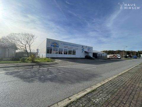 Markersdorf Halle, Markersdorf Hallenfläche