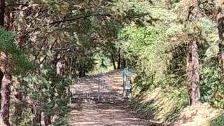 Grundstück mit Wohnhaus 