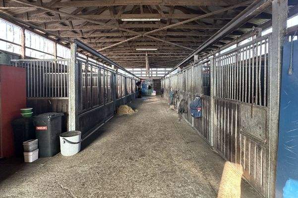 Boxengasse mit 12 Boxen