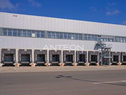 Emmerich am Rhein Halle, Emmerich am Rhein Hallenfläche