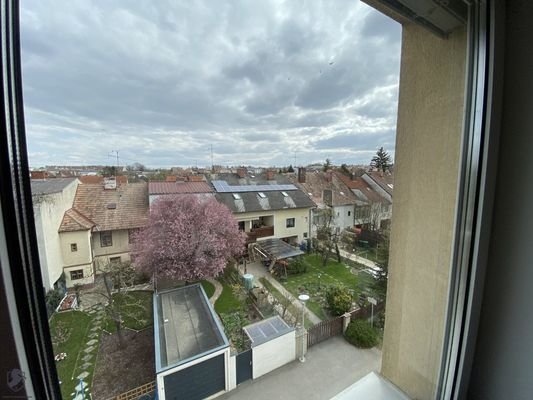 Bild 81
