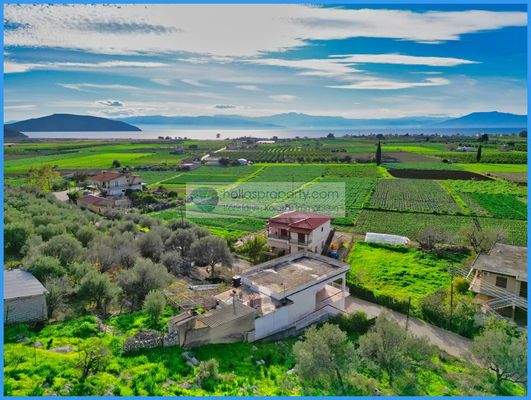 942809924a5641df84e99816b9a62cf1-original