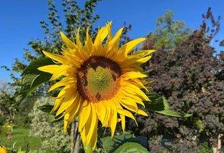 Neues Bauvorhaben in Mattighofen