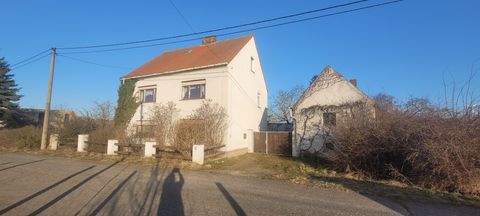 Uebigau-Wahrenbrück Häuser, Uebigau-Wahrenbrück Haus kaufen