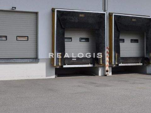 Dietzenbach Halle, Dietzenbach Hallenfläche