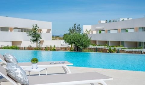 Torrevieja Wohnungen, Torrevieja Wohnung kaufen