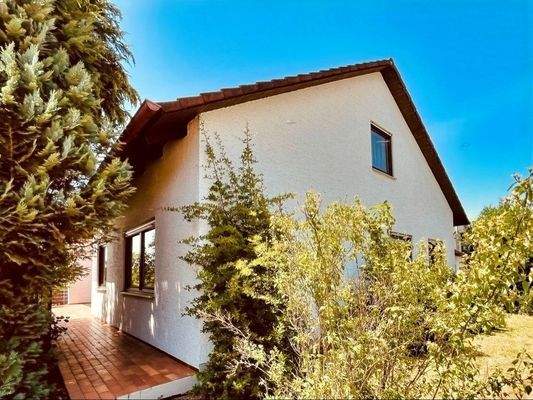 Ostansicht mit Terrassenzugang