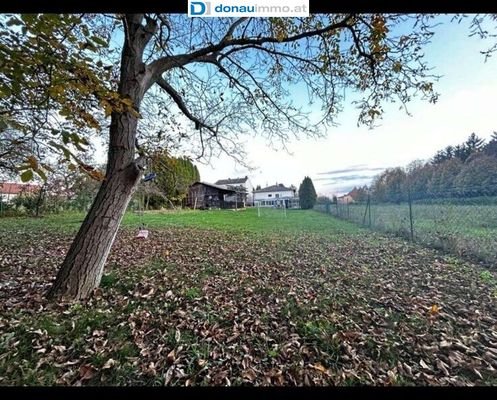 Bild 14