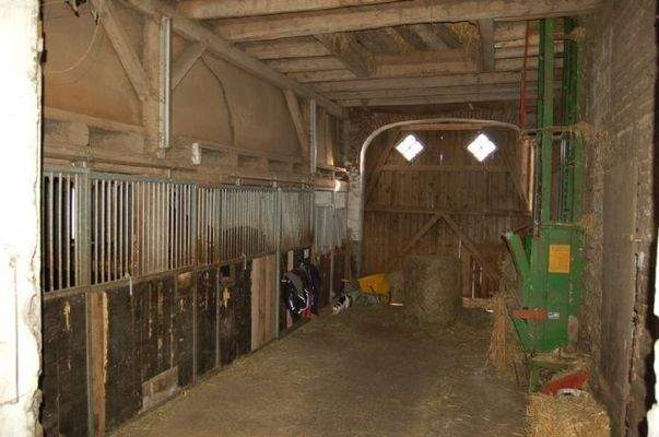 20 Diele mit Pferdeboxen