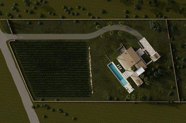 02_sa vinya_ planta techos