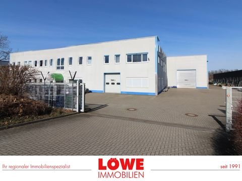 Ludwigsfelde Halle, Ludwigsfelde Hallenfläche