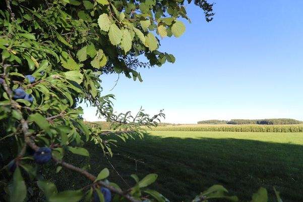 Zwischen Wiesen und Wäldern