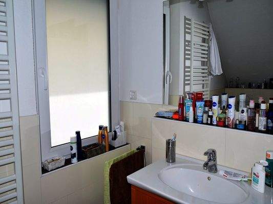 Schönes Tageslichtbad