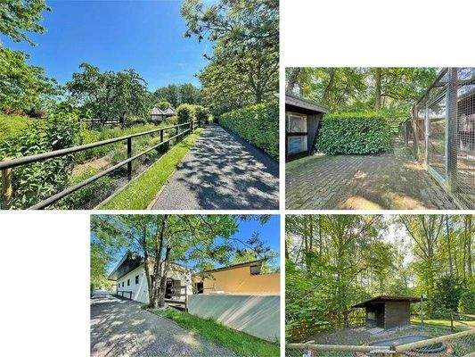 Gartenbereich mit weiteren Gewächshäusern