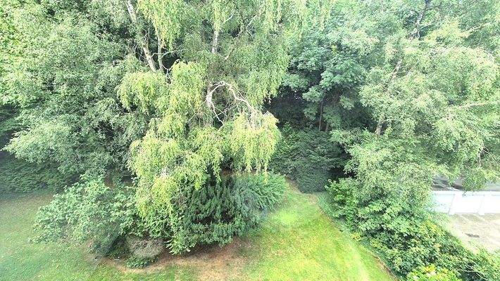 Blick aus den Schlafzimmern