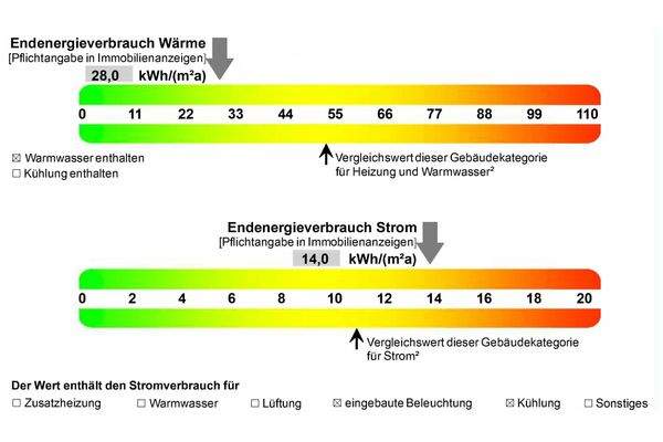 Auszug aus dem Energieausweis