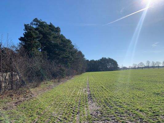 und die Natur genießen....