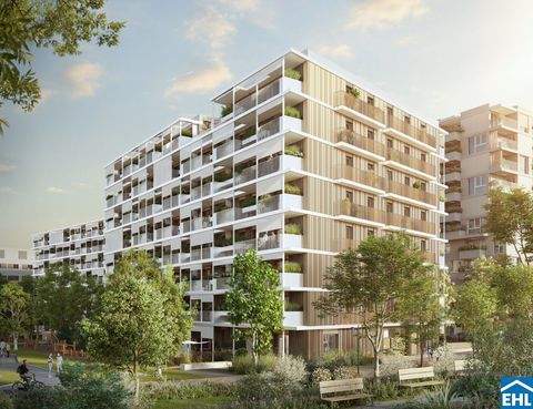 Wien Wohnungen, Wien Wohnung kaufen