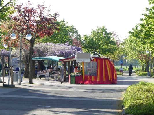 19_Wochenmarkt_am_Platz.JPG