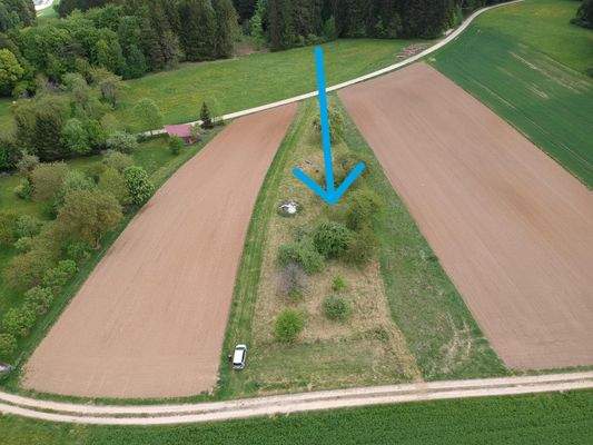 Landwirtschaftsfläche