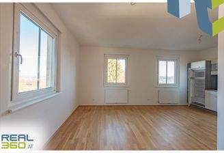 Wohnen / Essen / Kochen