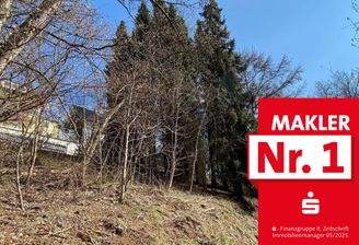 Ansicht des Grundstücks mit Zuwegung