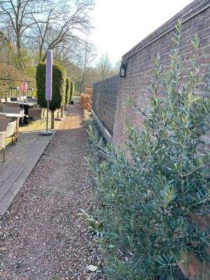 IMG_0717 - Kopie.jpg