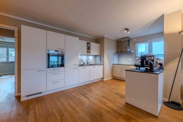 Die hochwertige Einbauküche