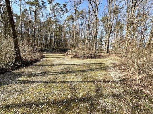 Stellplätze im Wald