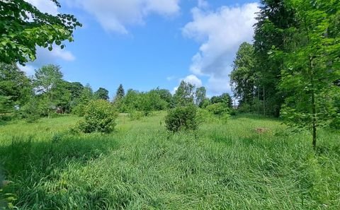 Mulda/Sa. Grundstücke, Mulda/Sa. Grundstück kaufen