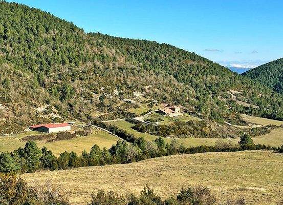 Imagen de WhatsApp 2025-01-16 a las 18.17.20_297a1