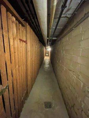 WhatsApp Image 2022-10-22 at 15.49.02