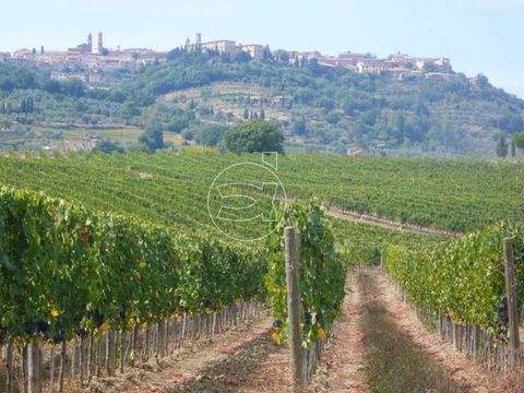 Montalcino Häuser, Montalcino Haus kaufen