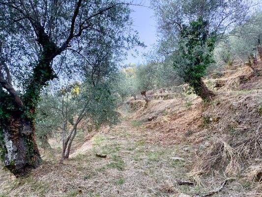 DA1046_11 TERRA ITALIA IMMOBILIEN_REAL ESTATE_FOR 