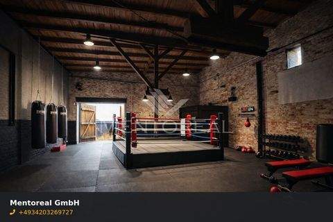 Coswig (Anhalt) Halle, Coswig (Anhalt) Hallenfläche